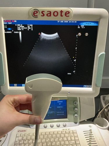 Sonda ultrasuoni convessa - sonda,